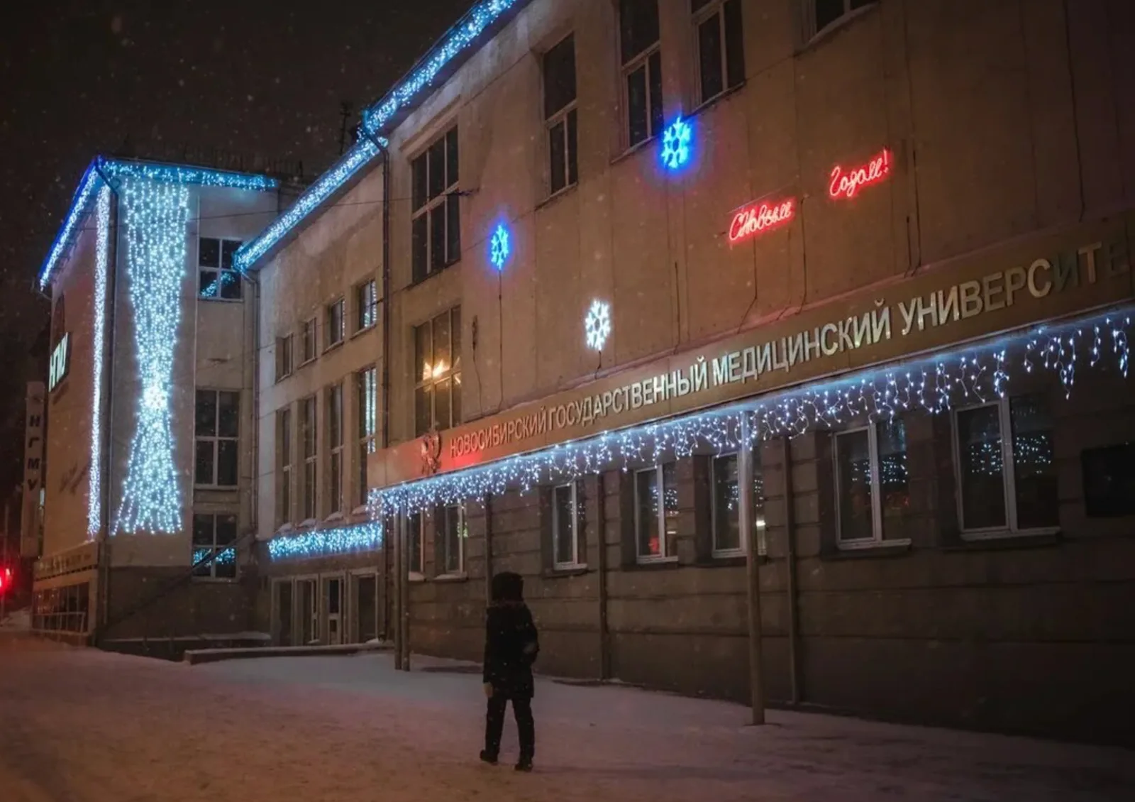 Светодиодный занавес "Дождь"2х6 метра белый мерцающий